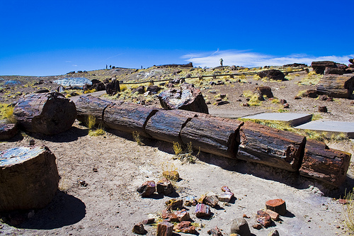 Национальный Парк Петрифайд-Форест (Petrified Forest)